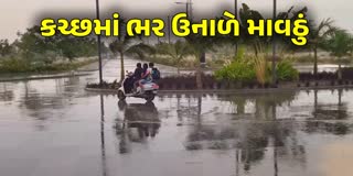 કચ્છમાં માવઠું