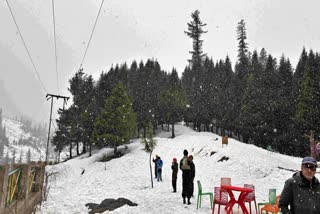 Himachal Weather Update