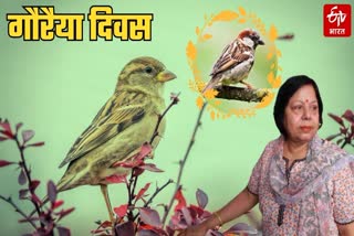 ETV Bharat