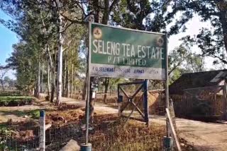 Tiru Hills Reserve Forest