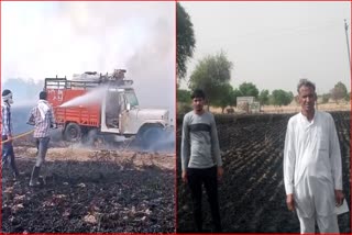 Fire in wheat crop in Jind
