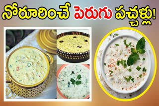 Special Curd Chutneys