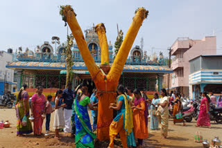 thandu mariamman temple festival