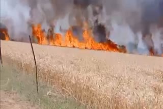 HUGE FIRE BROKE OUT WHEAT FIELD IN MORENA