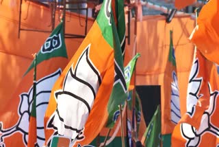 BJP MP AGAINST SC  WAQF AMENDMENT BILL  SUPREME COURT  NISHIKANT DUBEY BJP MP