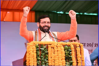 Haryana CM Nayab Saini
