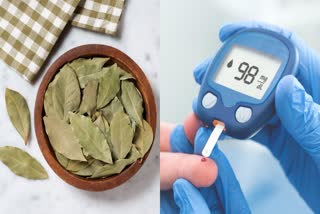BAY LEAVES HEALTH BENEFITS  BAY LEAVES IMPROVE GLUCOSE  BAY LEAVES FOR DIABETES  ಲವಂಗದ ಎಲೆಯ ಆರೋಗ್ಯದ ಪ್ರಯೋಜನಗಳು