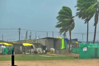Twenty-Five Injured As Winds Bring Down Mandap At Jalna Religious Event