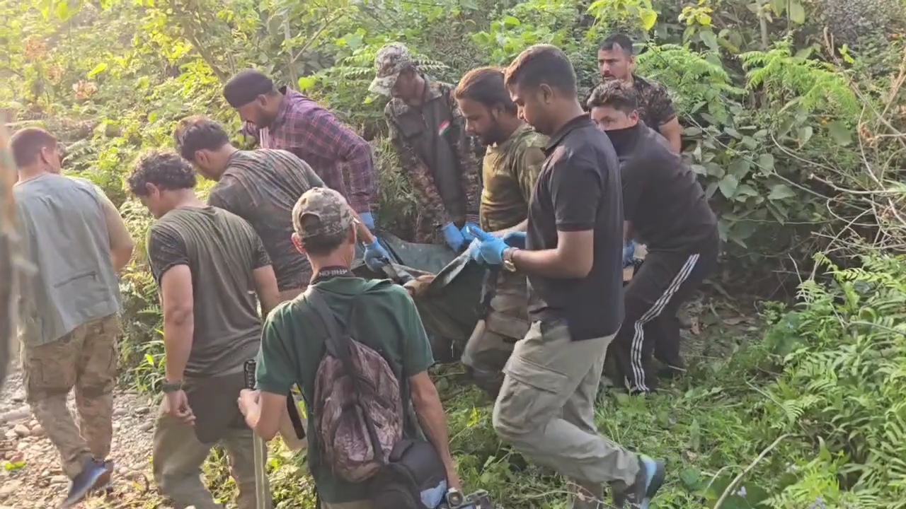 Ramnagar Tiger Tranquilize