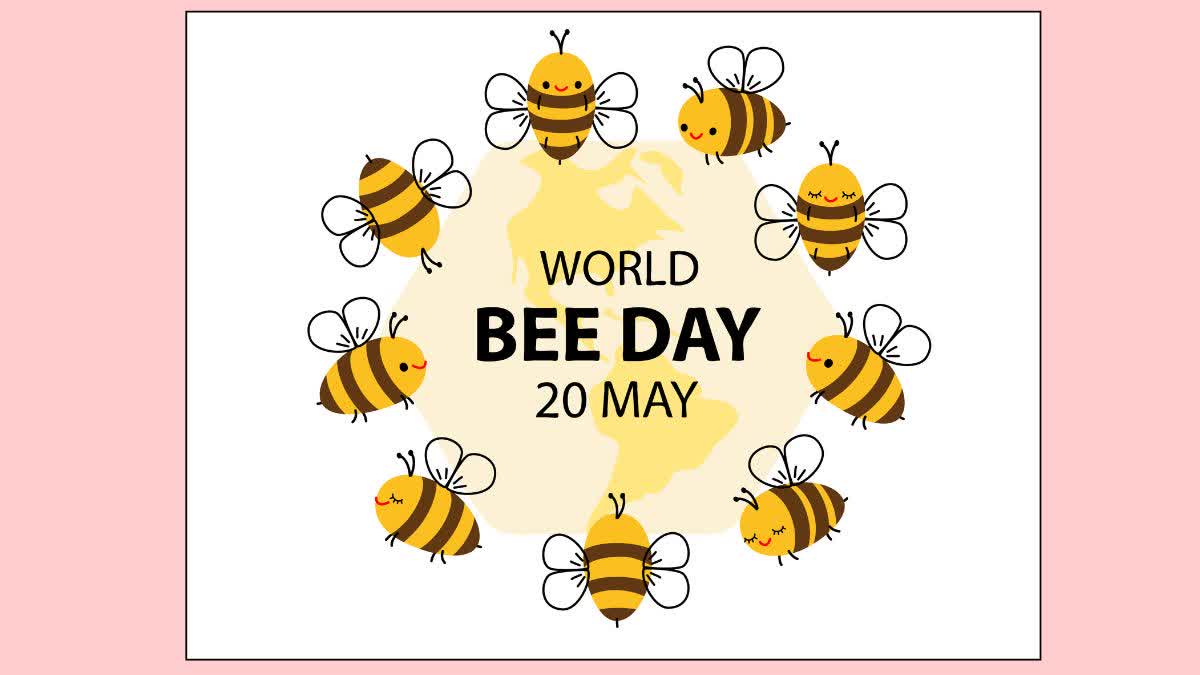 World Bee Day