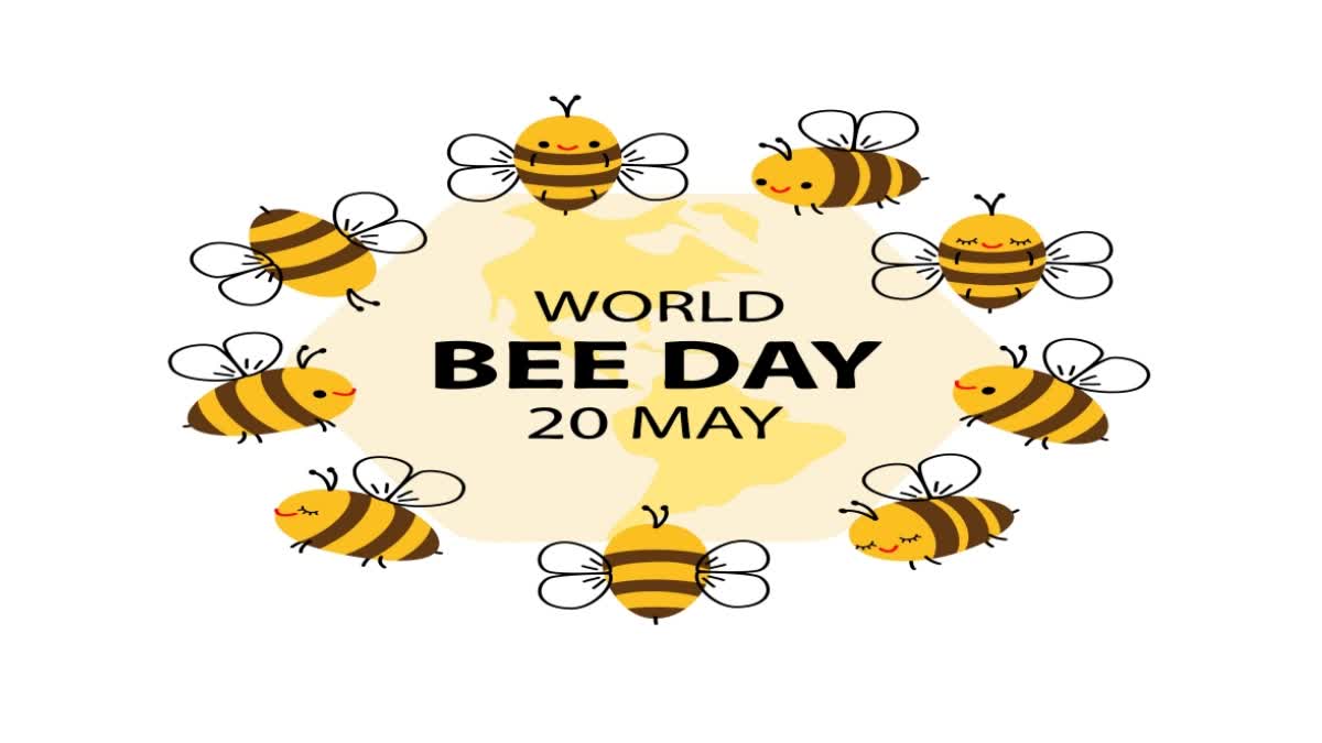 World Bee Day