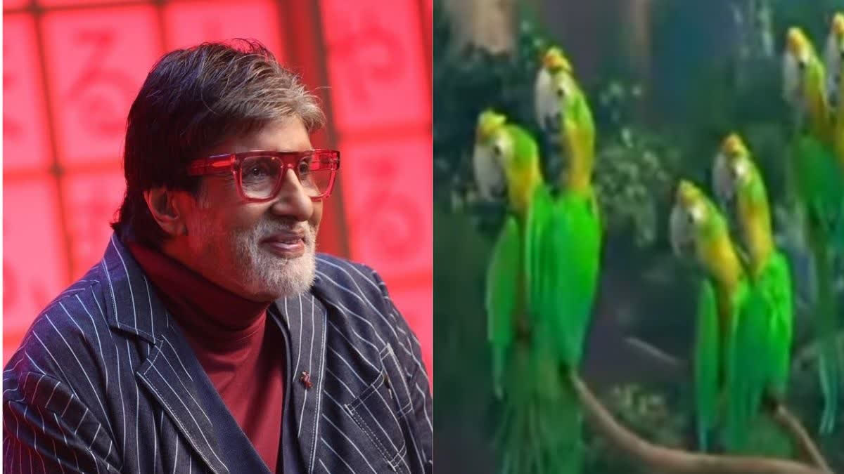 Amitabh Bachchan appealed for voting