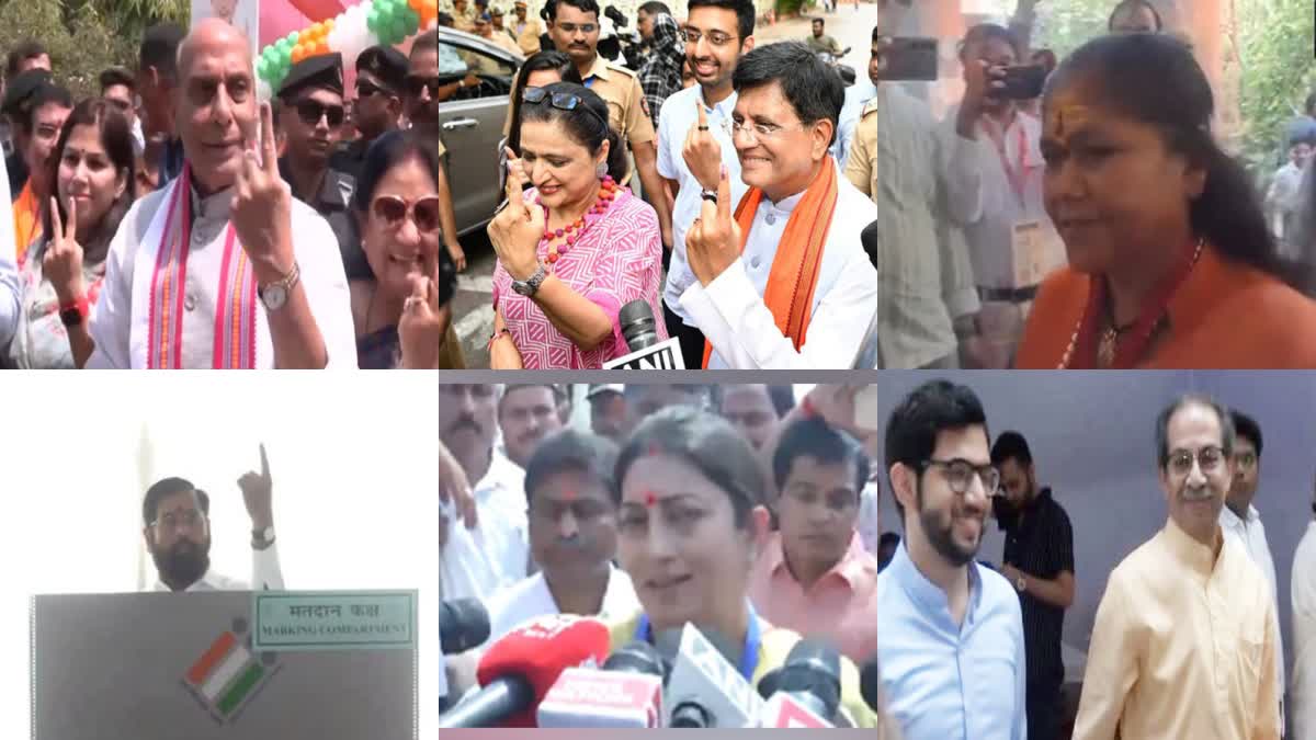 Businessmen and elites voted  Lok Sabha Election  celebrities voted  5th Phase Voting