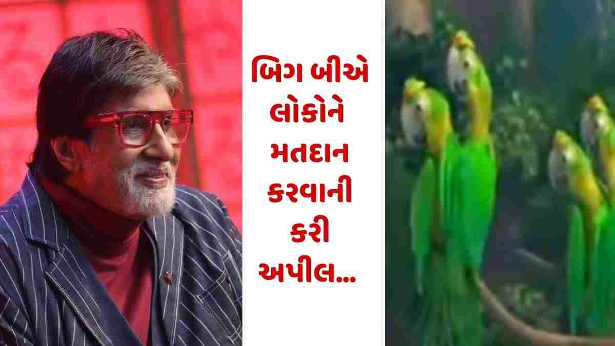 બિગ બીએ લોકોને અનોખી રીતે કરી મતદાન કરવાની અપીલ