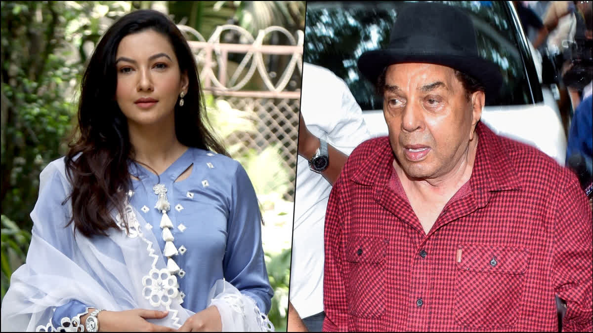 Lok Sabha Election 2024: Dharmendra Fumes, Gauahar Khan Slams Authorities after Casting Vote