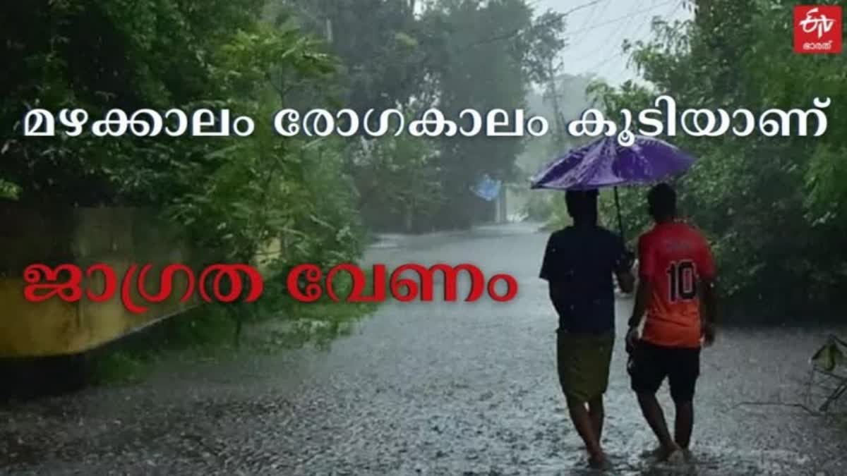 HEALTH MINISTER VEENA GEORGE  മഴ ജാഗ്രതാ നിര്‍ദേശം  HEAVY RAIN IN KERALA  ഡോക്‌സിസൈക്ലിന്‍