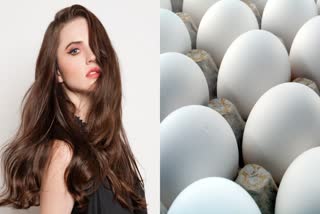 Eggs For Hair Health