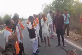 LEOPARD ACCIDENT IN BARAN