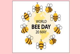 world bee day