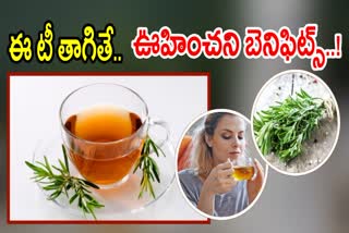 Rosemary Tea Benefits