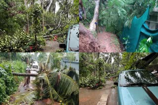 HEAVY RAIN IN KERALA  തിരുവനന്തപുരത്ത് കനത്ത മഴ  RAIN DAMAGES  കനത്ത മഴയിൽ നാശനഷ്‌ടം