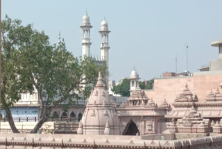 Varanasi Gyanvapi