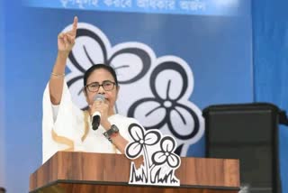 Congress stance is soft regarding Mamata Banerjee