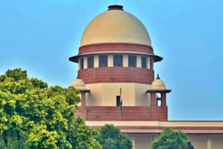 SC refuses to entertain plea