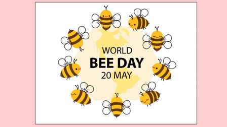 world bee day