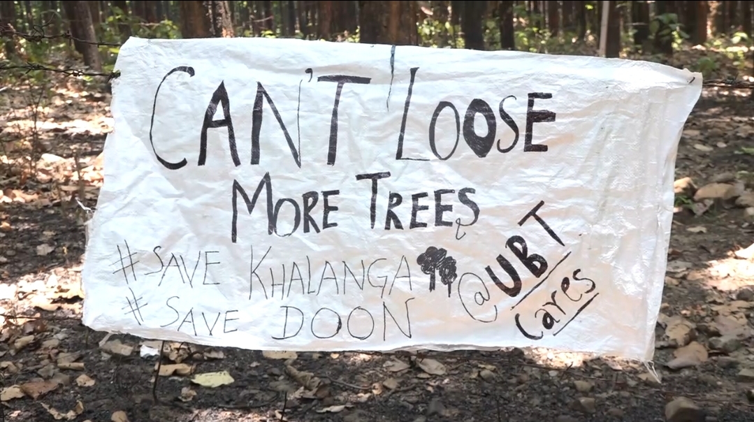 Khalanga Forest Controversy