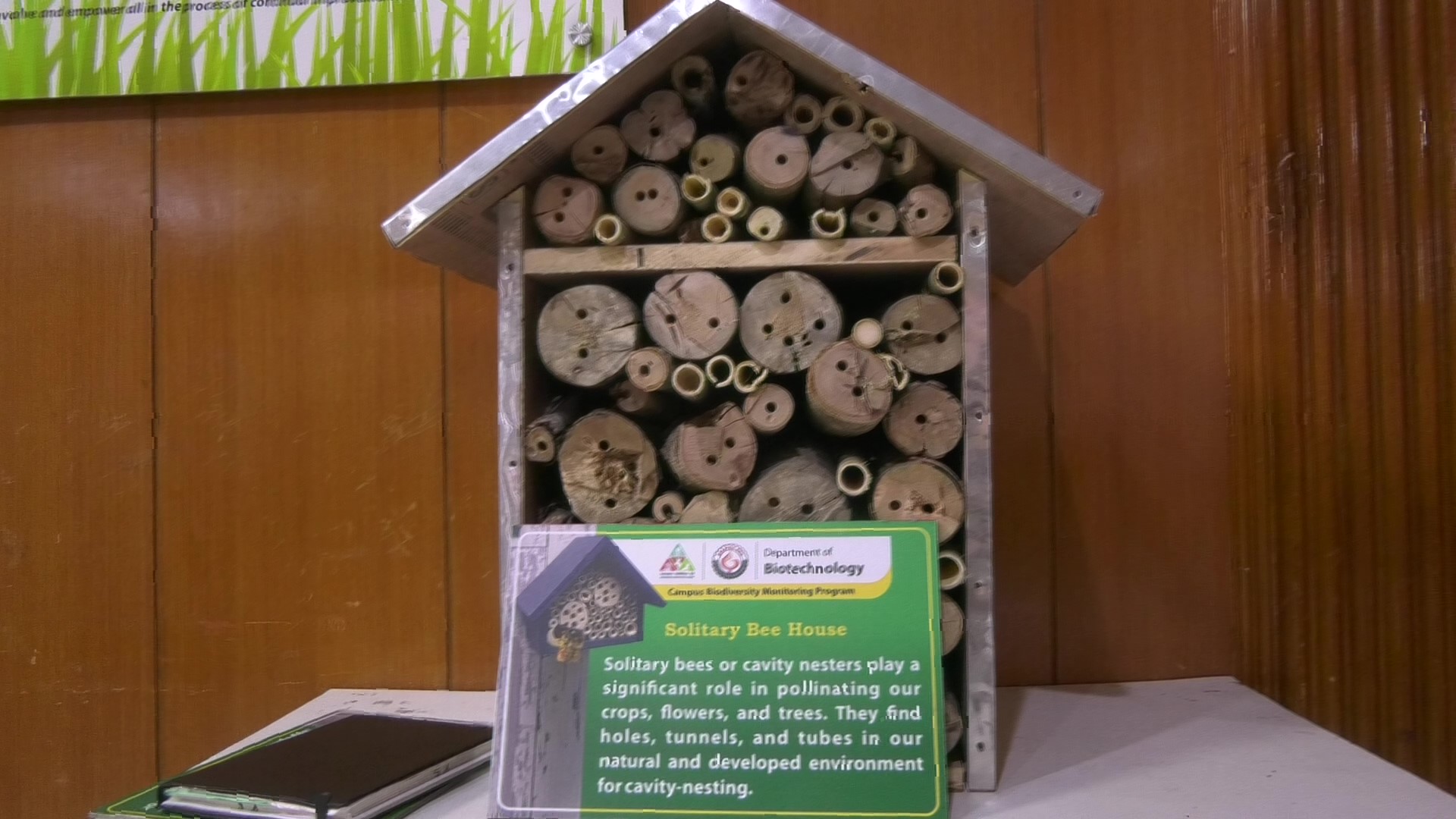 Solitary Bee House