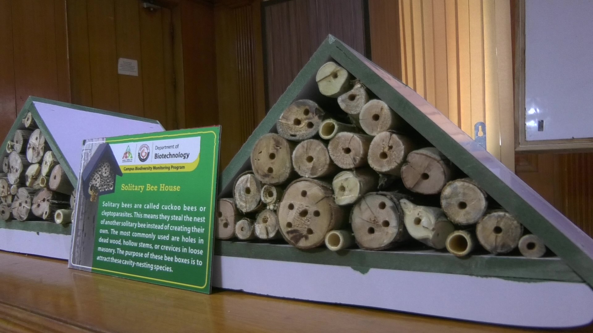 Solitary Bee House