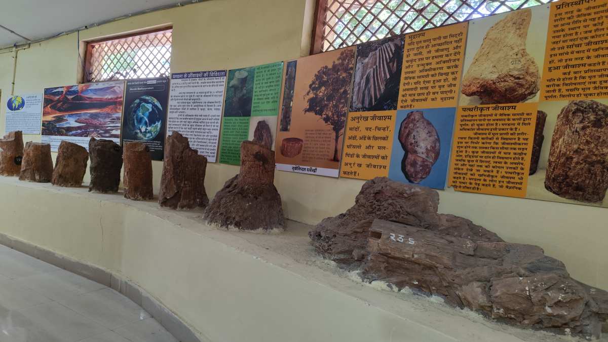 mandla Archaeological Museum
