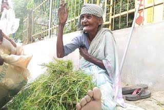புல் விற்கும் பார்வதி பாட்டி