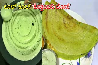 CORIANDER DOSA  MASALA DOSA MAKING RPOCESS  KOTHIMEERA DOSA  ಕೊತ್ತಂಬರಿ ದೋಸೆ