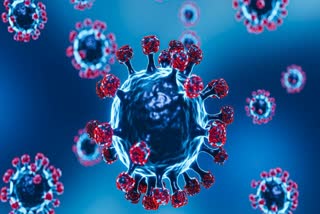 COVID 19 2025  NEW WAVE OF COVID 19  CORONA VIRUS DISEASE SYMPTOMS  CORONA RETURNED AGAIN IN INDIA