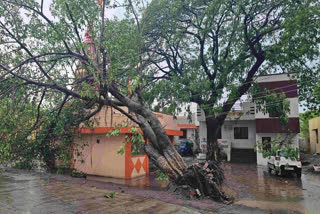 Thunderstorm wreaks havoc in Rahata taluka in Ahilyanagar