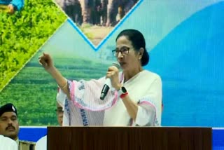 Mamata Banerjee
