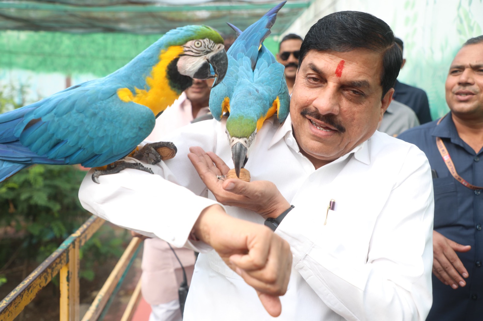 इंदौर जू में किंग कोबरा की एंट्री, तन्हाई में जी रही क्वीन कोबरा को मिला हमसफर 2 indore Cabinet meeting