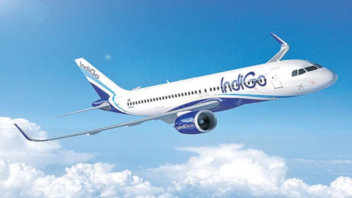 Indigo 500 Aircraft Deal