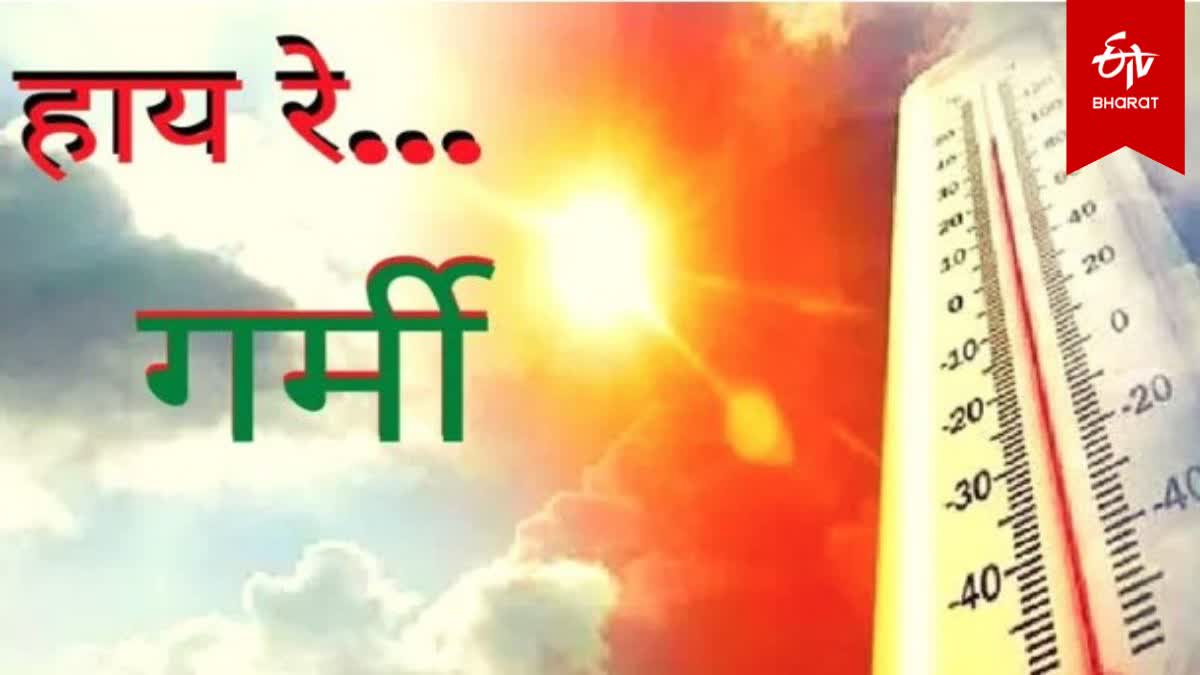 Etv Bharat