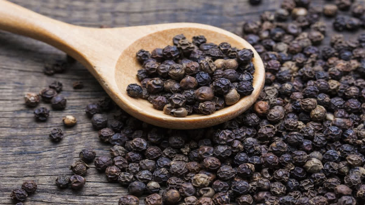 Black Pepper Benefits: முதுமையை தடுக்கும் மிளகு!