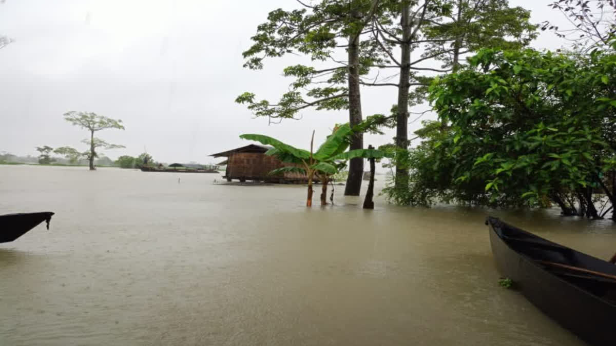 ASSAM FLOOD SITUATION GETTING SERIOUS IN 10 DISTRICTS RED ALERT ISSUED BY IMD