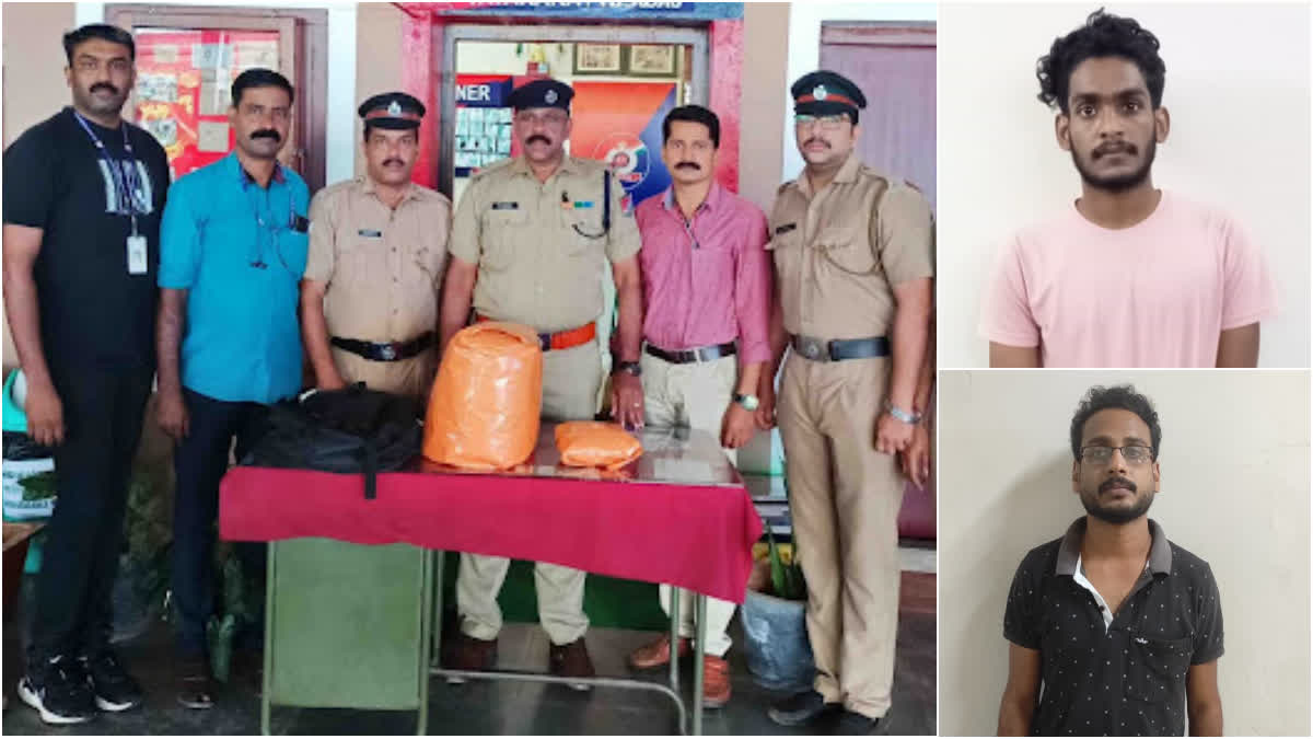 Kanjavu  ganja seized in Vadakara  cannabis  cannabis seized  cannabis seized at mahi  കഞ്ചാവ് പിടികൂടി  വടകരയിൽ അഞ്ച് കിലോ കഞ്ചാവ്  ട്രെയിനിൽ കഞ്ചാവ്  ആ൪പിഎഫ്  ലഹരി വസ്‌തുക്കൾ വിൽപന