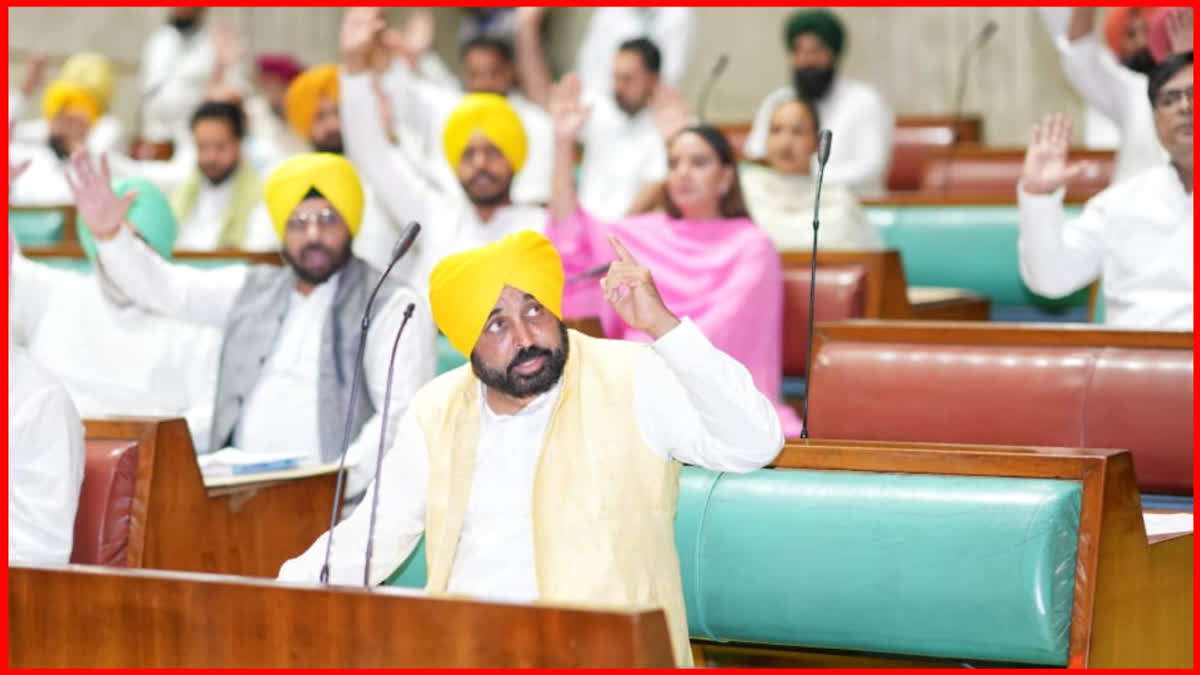 Chief Minister Bhagwant Mann