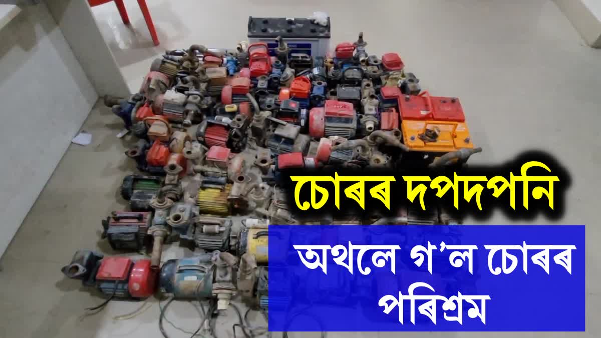 Thief arrested along with 100 goods at Mangaldoi