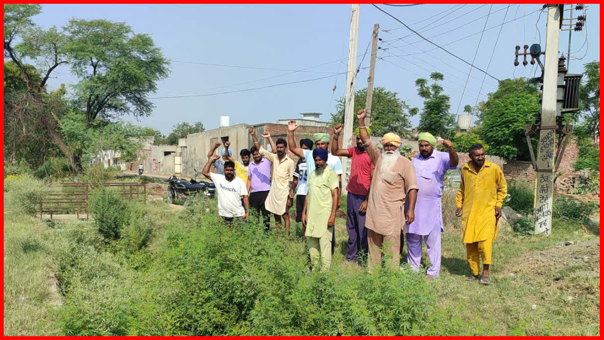 farmers of Cheema village of Barnala