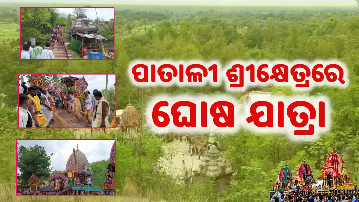 Ratha Yatra celebration in Subarnapur