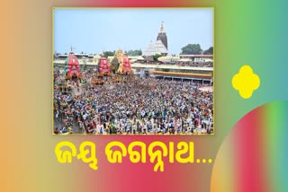 : ଭଗବାନଙ୍କୁ ଦର୍ଶନ କରି ବିଭୋର ଭକ୍ତ