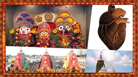 AHMEDABAD JAGANNATH RATH YATRA 2023 PURI LEARN ABOUT THE SECRETS ASSOCIATED WITH LORD JAGANNATHJI